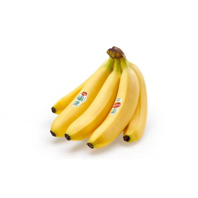 Banana Del Monte E/K