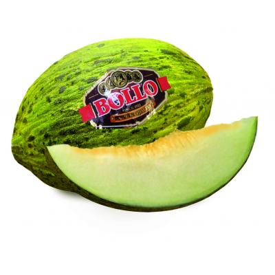 Melon Bollo E/K
