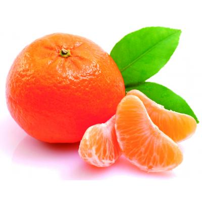 Mandarina Torres E/K