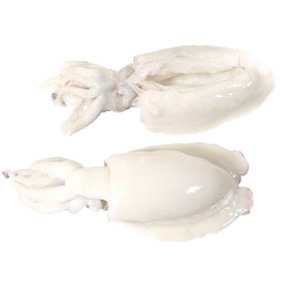 Sepia Limpia G 3k E/K