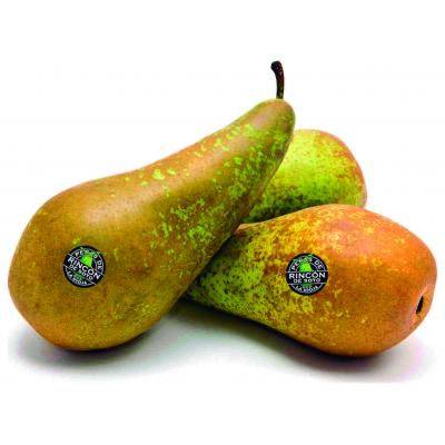 Pera Conference Rincon Soto E/K