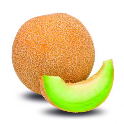 Melon Galia E/K 5.5k Aprox.