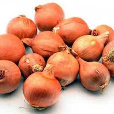 Cebolla Platillo Bandeja Pequeña