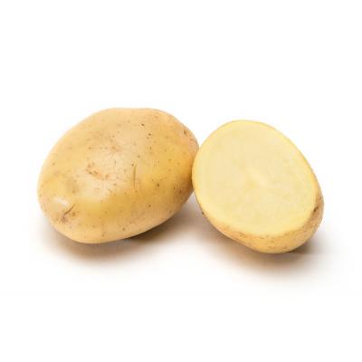 Patata Pat Micro 500g