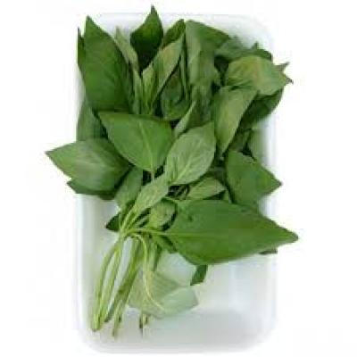 Albahaca Bandeja 40g