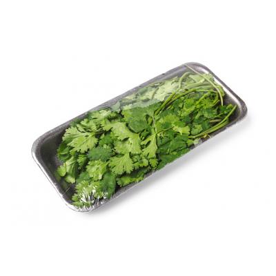 Cilantro Bandeja E/U