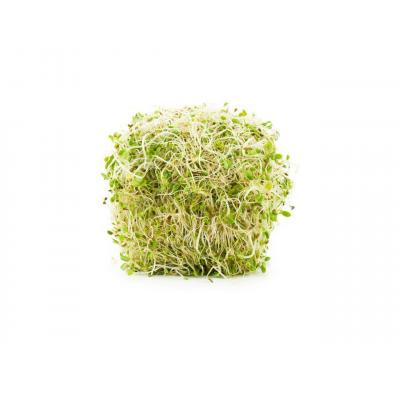 Alfalfa Germinada Bolsa 150g