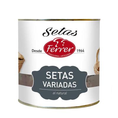 Seta Ferrer Variado 1,2k