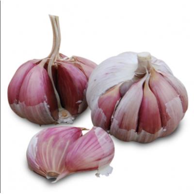 Ajo Seco Blanco Bolsa 250g E/U