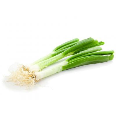 Puerro Manojo Embolsado E/U
