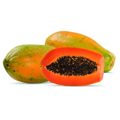 Papayon E/K