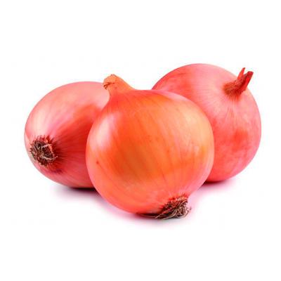 Cebolla Gorda Granel Saco 25k E/K