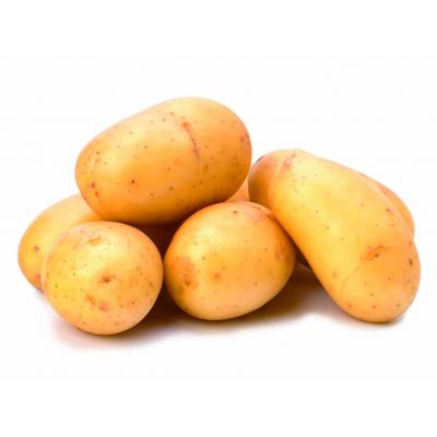 Patata Blanca Lavada Saco 25k E/K