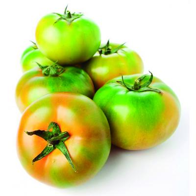 Tomate Verde E/K