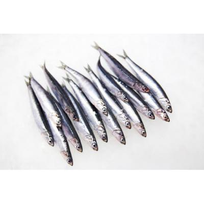 Boqueron Pequeño E/K