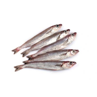 Bacaladilla Grande E/K