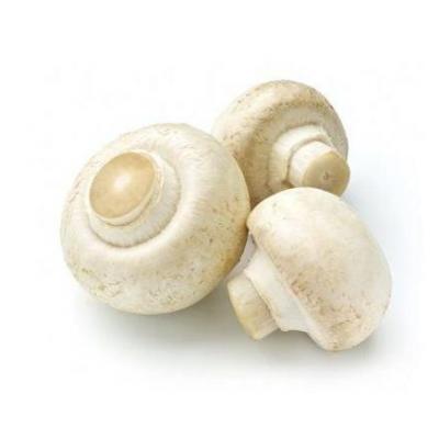 Champiñon Pie Cortado E/K