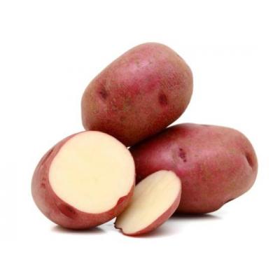 Patata Pontiac Saco 15k E/K