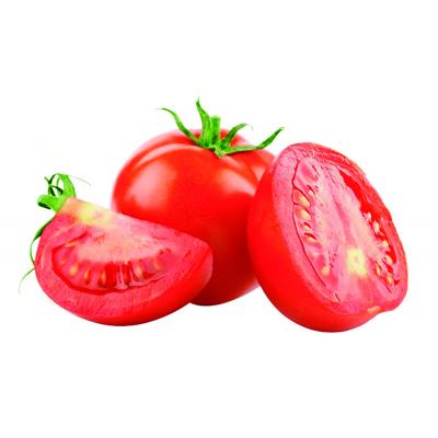 Tomate Untar Pan Granel Para E/K
