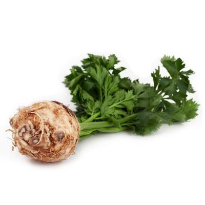Raiz De Apio E/K