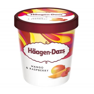 Helado Haagen Mango 460ml