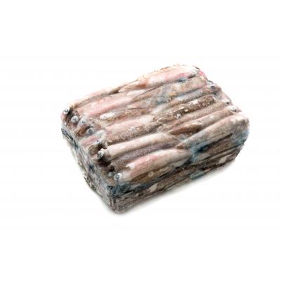 Calamar Lanzal Patagonico 5k Bloque E/K