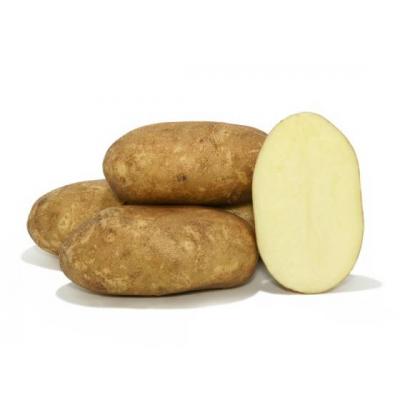 Patata Kennabeck Saco 15k E/K