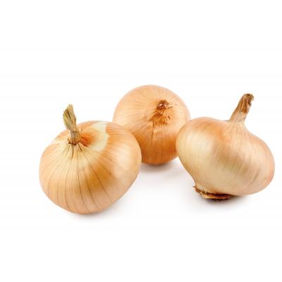 Cebolla Dulce Granel E/K