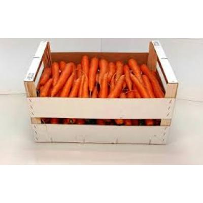 Zanahoria Caja E/K