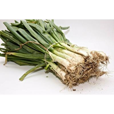 Calçots Denominacio Origen Valls E/U 25u