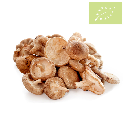 Shii-Take Caja 1k E/U