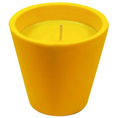 Maceta Caribe Citronela