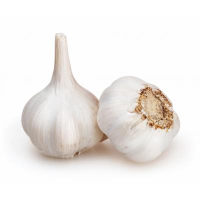 Ajo Bolsa Bio 4u E/U