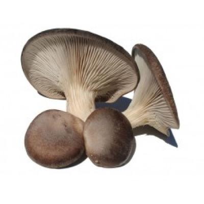 Cesta Cardo Caja 1k E/U