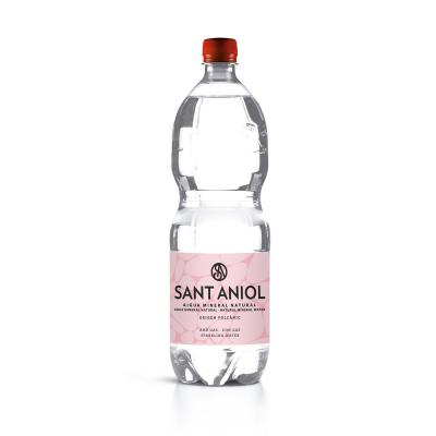 Agua Sant Aniol Con Gas Pet 1,25l