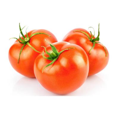 Tomate Maduro Rama 650g E/U
