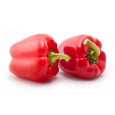 Pimiento Rojo 520g E/U