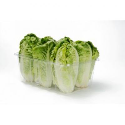 Corazon Cogollo Bandeja E/U