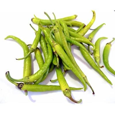 Guindilla Bandeja 20g