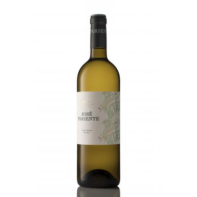 Vino Jose Pariente Blanco Sauvignon 75cl 13º