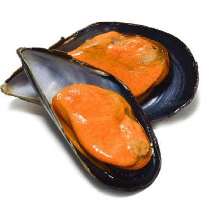 Mejillon Grande 26-34 Piezas