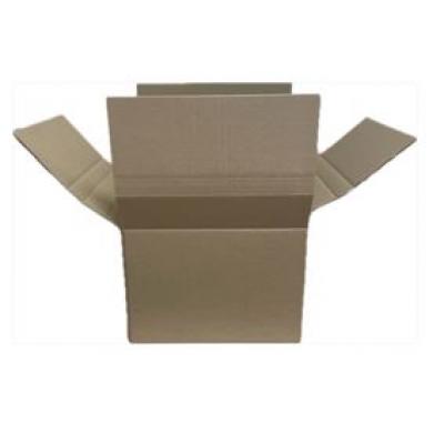 Caja Cartro R.702-40x30x41