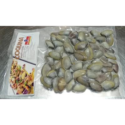 Coquina Pasapesca  250g