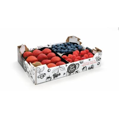 Combinado Mixto P.U.