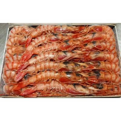 Alistado Pasapesca Mediano 1,2k E/K