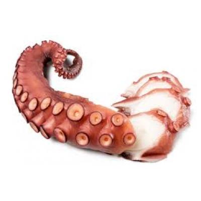 Pulpo Patas Vacio E/K