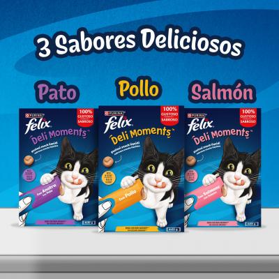Comida Gato Felix Delicious Salmo 4x10g