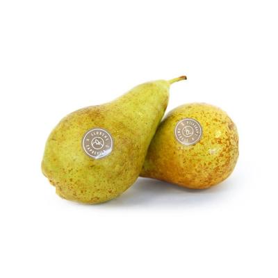 Pera Conference Nacional E/K