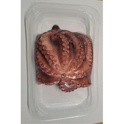 Pulpo Merpacifico Cocido E/K