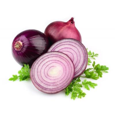 Cebolla Morada E/K